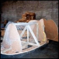 Top half of the bull elephant.