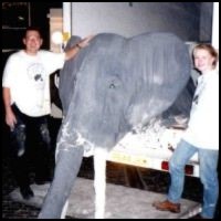 Loading the Elephants.